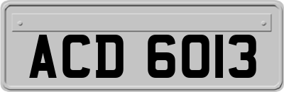 ACD6013