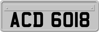 ACD6018
