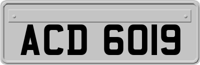 ACD6019