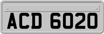 ACD6020