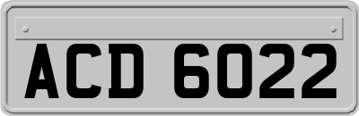 ACD6022