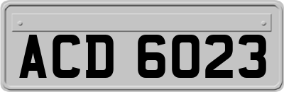 ACD6023