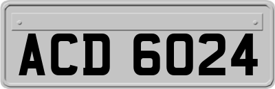 ACD6024