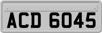 ACD6045