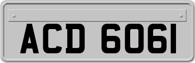 ACD6061