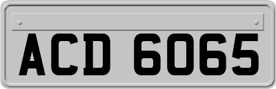 ACD6065
