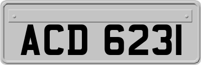 ACD6231