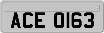 ACE0163