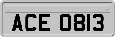 ACE0813