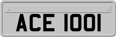 ACE1001