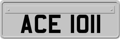 ACE1011