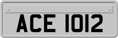 ACE1012