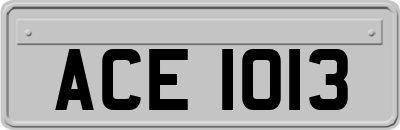 ACE1013