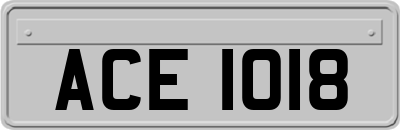 ACE1018