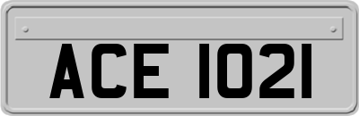 ACE1021