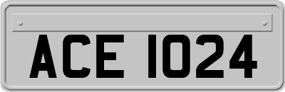 ACE1024