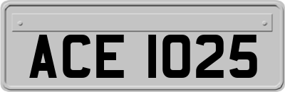 ACE1025