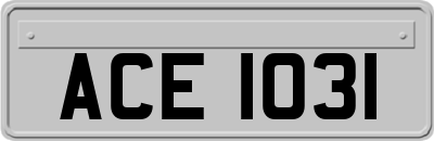 ACE1031