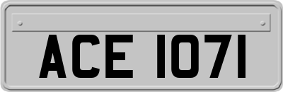 ACE1071
