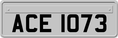 ACE1073