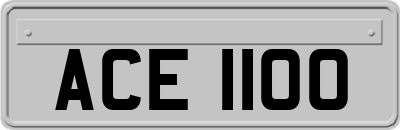 ACE1100