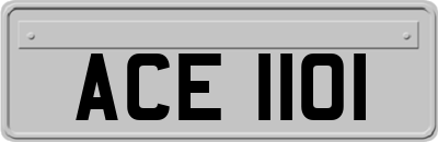 ACE1101