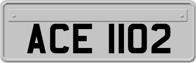 ACE1102