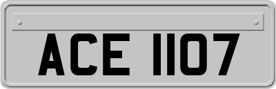 ACE1107