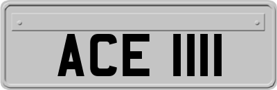 ACE1111