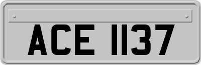 ACE1137