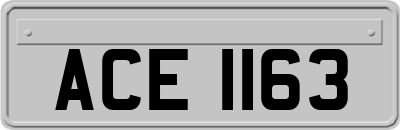 ACE1163