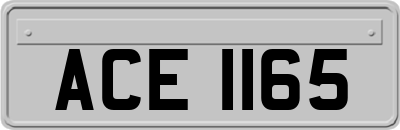 ACE1165