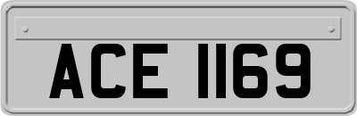 ACE1169