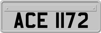 ACE1172