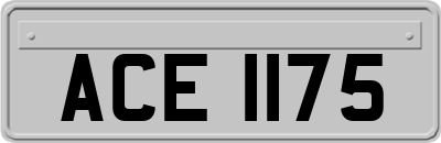 ACE1175