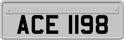 ACE1198