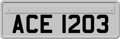 ACE1203