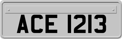 ACE1213