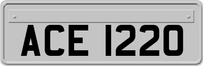 ACE1220