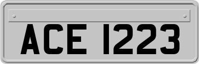 ACE1223