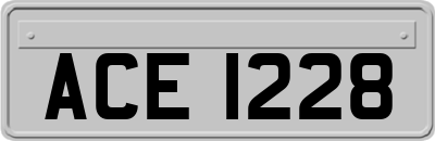 ACE1228