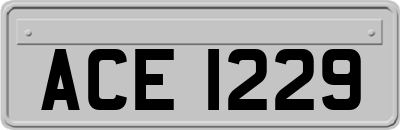 ACE1229