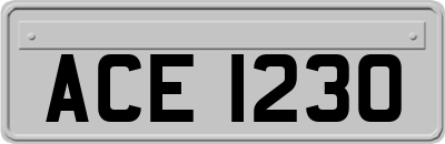 ACE1230