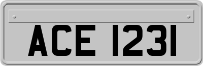 ACE1231
