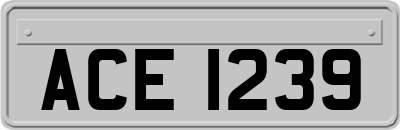 ACE1239