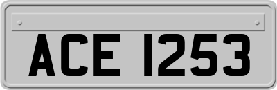 ACE1253
