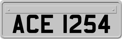ACE1254