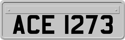 ACE1273