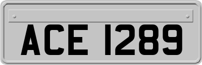 ACE1289