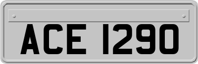 ACE1290